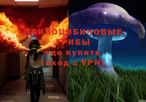 герыч Бронницы